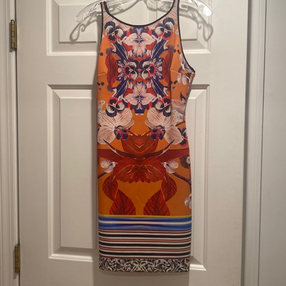 Clover Canyon Body con dress.
